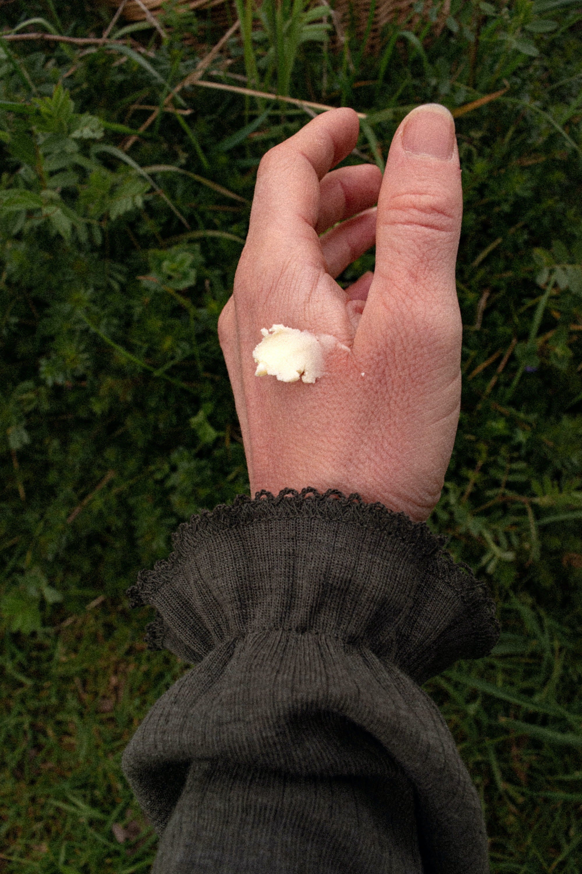 Värmlands Tallow Balm